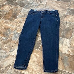Lane Bryant Jegging Size 14 Dark Blue Straight Leg  Cenius Fite Jeans